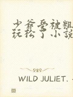 少爷受被粗汉H玩松了小说