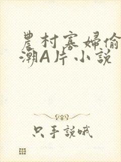 农村寡妇偷人高潮A片小说