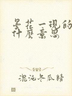 昙花一现的现是什么意思