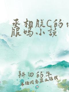 丞相朕C的你舒服吗小说