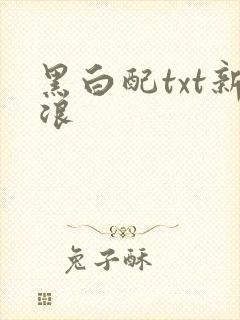 黑白配txt新浪