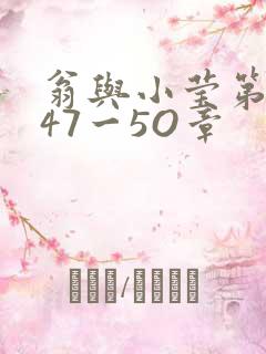 翁与小莹第十部47一5O章