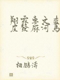 翔霖车文爽到头皮发麻河马的秘密