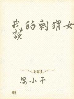 我的刺猬女孩小说