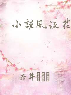 小说风流花少