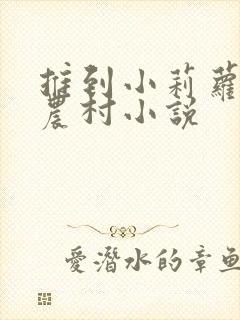 推到小莉萝稚嫩农村小说