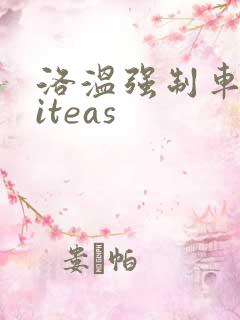 洛温强制车writeas