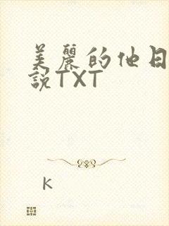 美丽的他日剧小说TXT