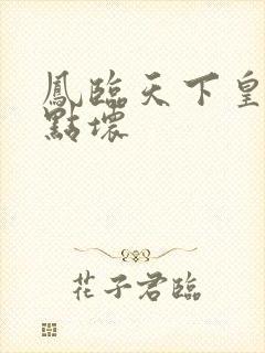 凤临天下皇后有点坏