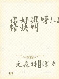 你好湿呀!小妖精快叫