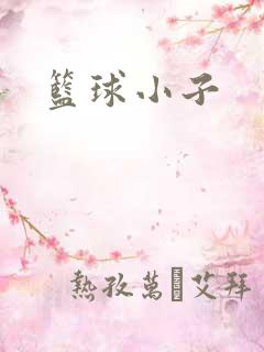 篮球小子