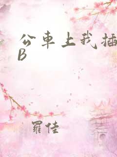 公车上我插上骚B