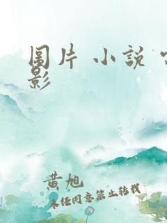 图片 小说 电影