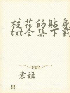 校花的贴身保镖txt全集下载