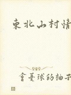东北山村情事