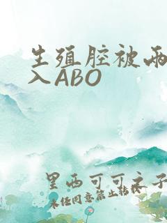 生殖腔被两根进入ABO