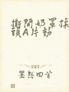 撕开奶罩揉吮奶头A片动