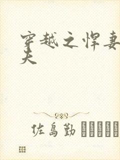 穿越之悍妻共三夫