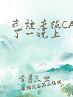 我被老板CAO了一晚上