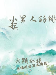 小男人的绯色崛起