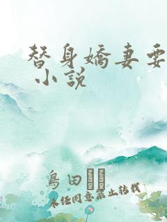 替身娇妻要离婚 小说