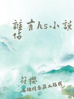 谁有hs小说网站