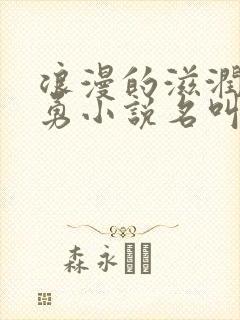 浪漫的滋润刘大勇小说名叫什么?