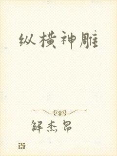 纵横神雕
