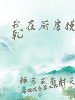 我在厨房摸岳的乳