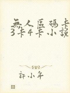 无人区码卡二卡3卡4卡小说