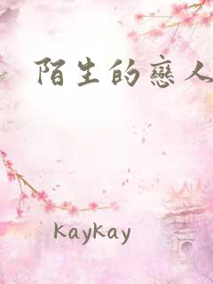 陌生的恋人小说