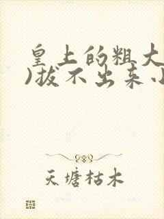 皇上的粗大(h)拔不出来小说