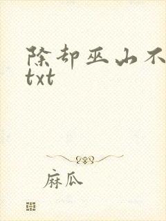 除却巫山不是云txt