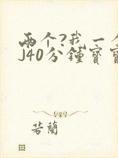 两个?我一个BJ40分钟宝宝