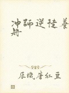 冲师逆徒养成手册