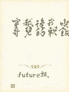 穿越后我吃到了哥儿的软饭炉山灰