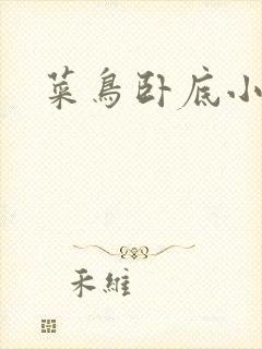 菜鸟卧底小正太