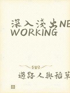 深入浅出NETWORKING