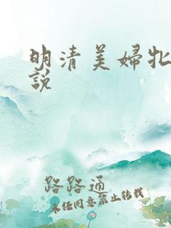 明清美妇牝户小说