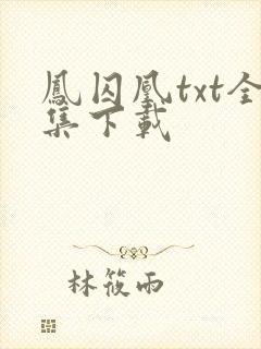 凤囚凰txt全集下载