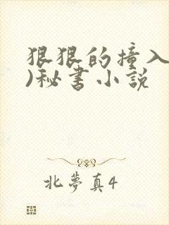 狠狠的撞入(h)秘书小说