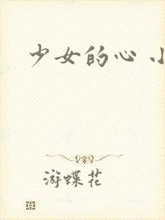少女的心 小说