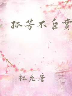 孤芳不自赏小说