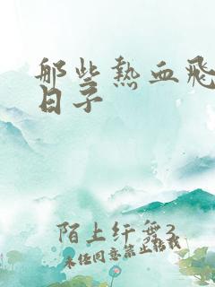 那些热血飞扬的日子