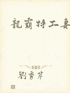 龙霸特工妻