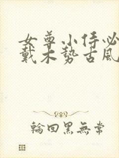 女尊小侍必须佩戴木势古风