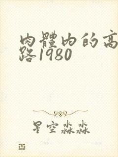 肉体内的高速公路1980