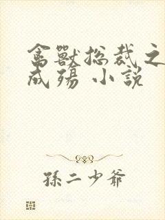 禽兽总裁之虐爱成殇 小说