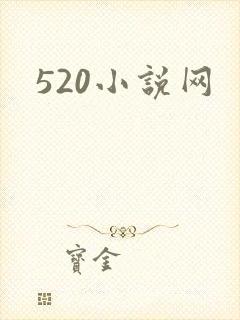 520小说网