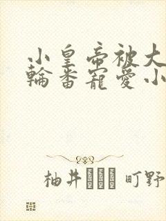 小皇帝被大臣们轮番宠爱小说